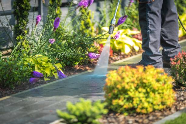 Best Boat and Dock Cleaning  in Rock Port, MO
