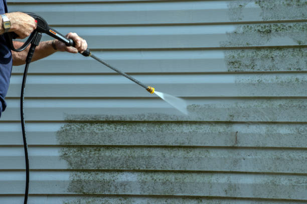 Best Dumpster Area Cleaning  in Rock Port, MO